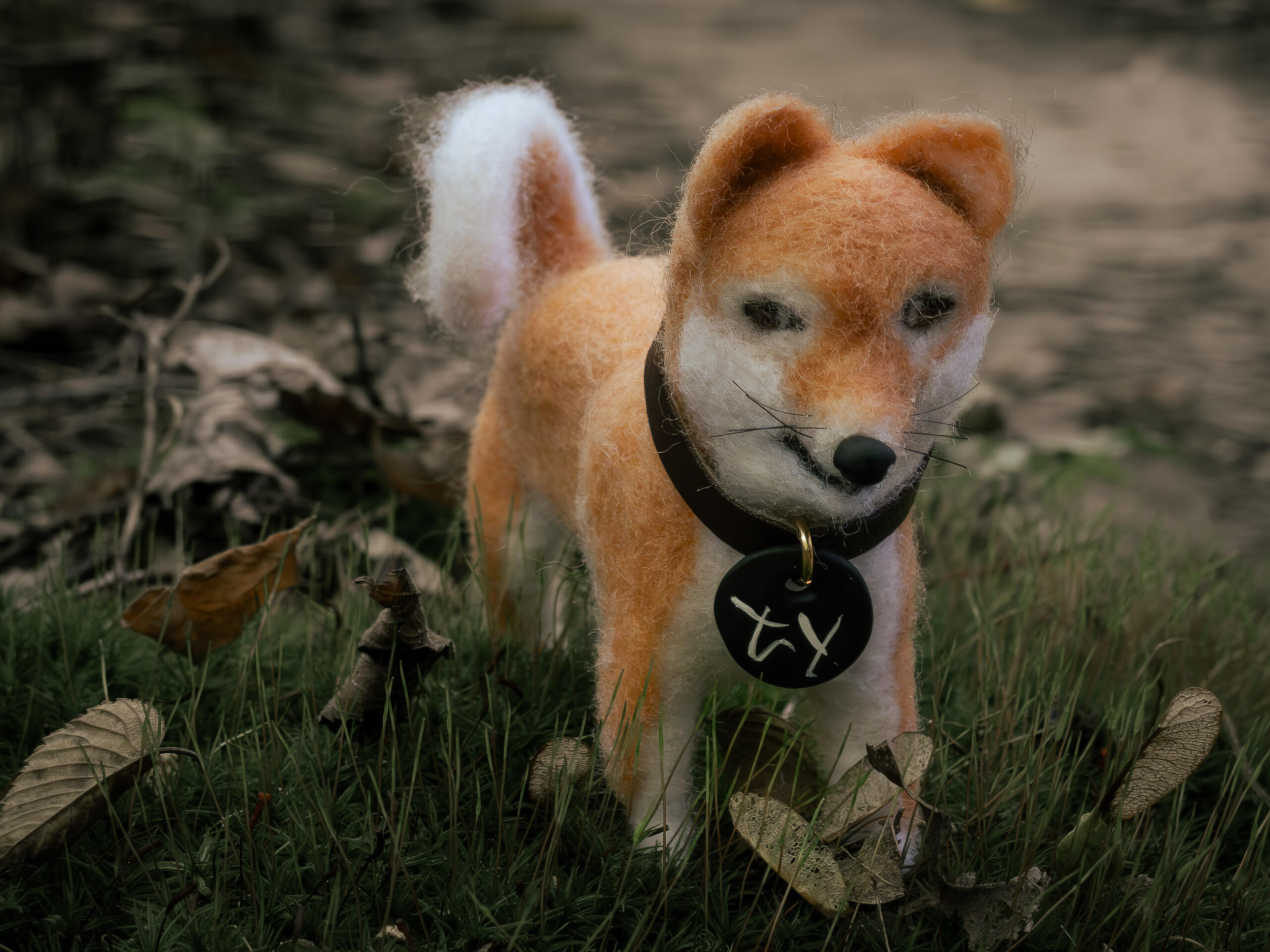 Needle felted shiba inu on a small patch of grass